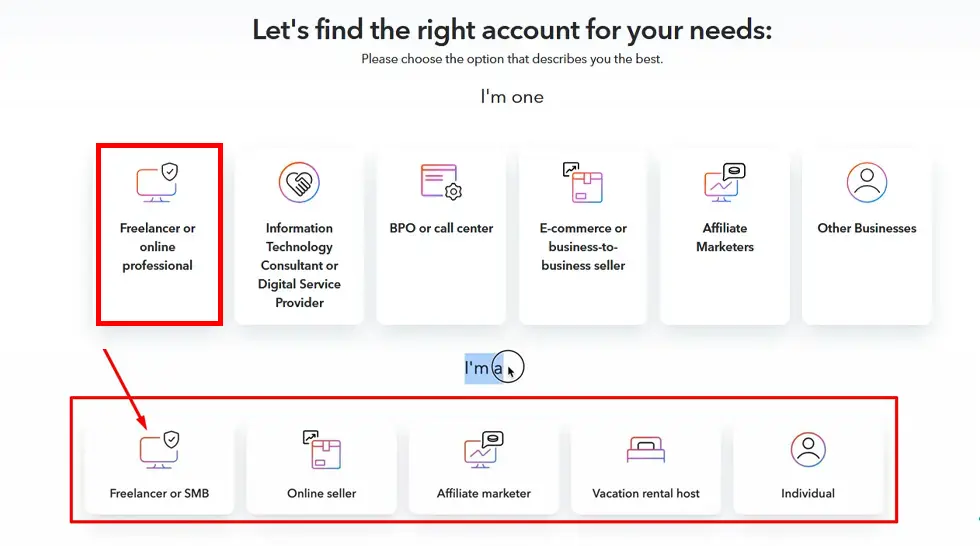 Individual Freelancer